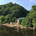 Forums for Businesses in Prince William County, VA: A Guide